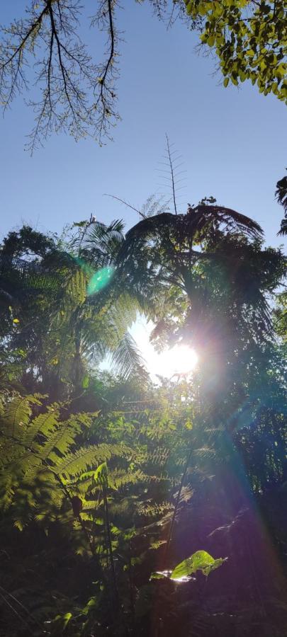 Na Mata Chalés Villa Ubatuba Exterior foto