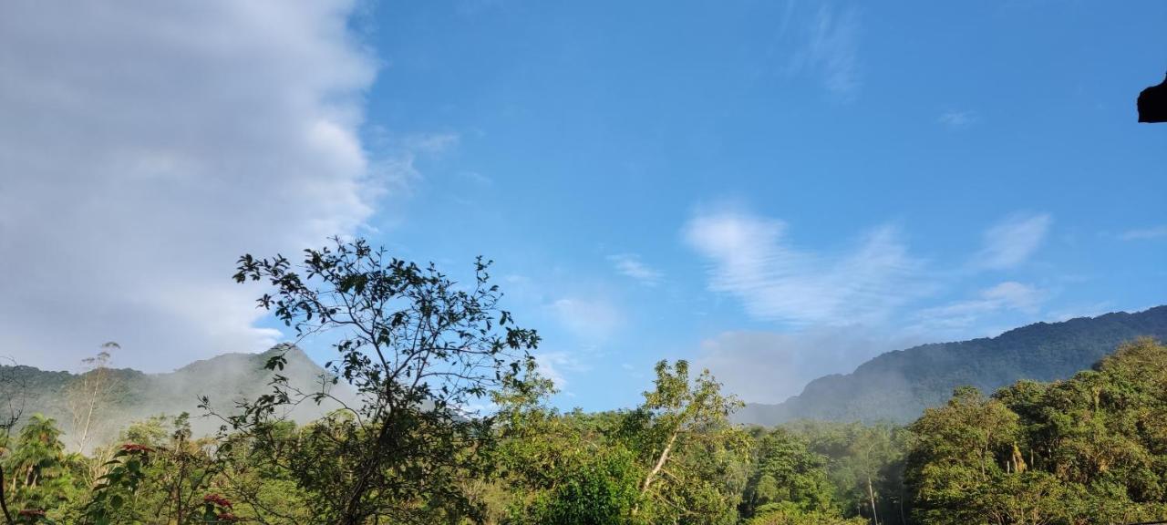 Na Mata Chalés Villa Ubatuba Exterior foto